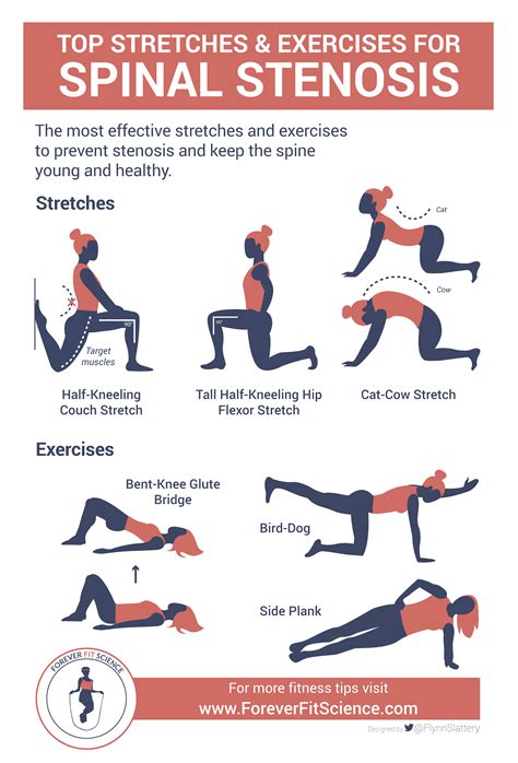 betorspine|best exercises for the spine.